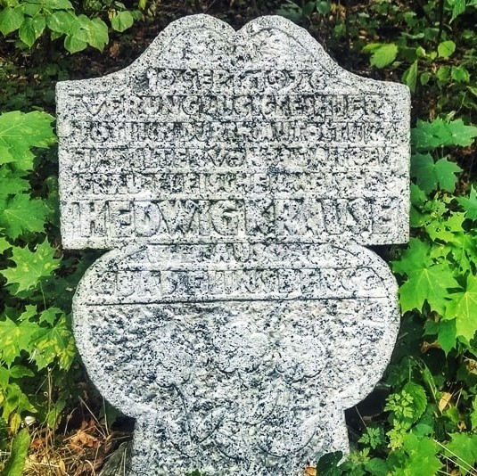 Kamien Jadwigi Krause 1