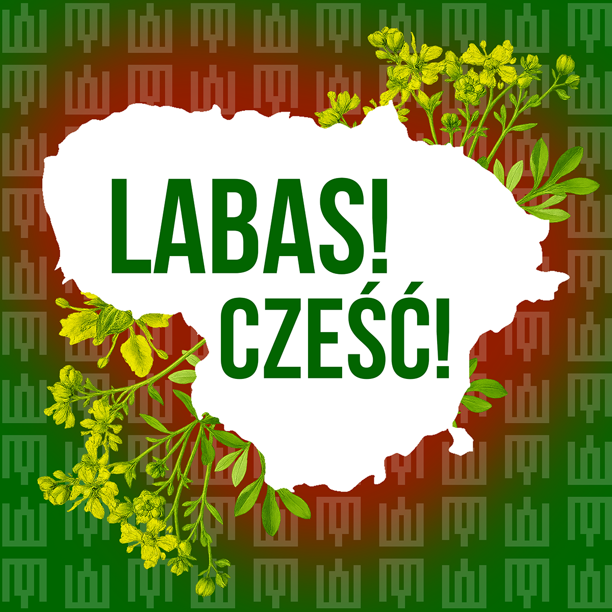 Grafika z konturem Litwy na tle zielono-czerwonego wzoru. W centrum widnieje napis „LABAS! CZEŚĆ!”, a całość ozdobiona jest żółtymi kwiatami.