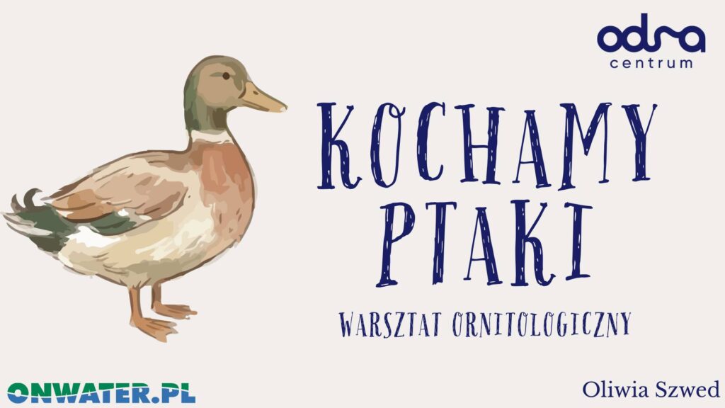 Plakat promujący warsztat ornitologiczny »Kochamy ptaki«. Na jasnym tle widoczna ilustracja kaczki po lewej stronie oraz tytuł wydarzenia zapisany dużymi, granatowymi literami. W prawym górnym rogu logo »Odra Centrum«, na dole logotyp »Onwater.pl« oraz podpis »Oliwia Szwed«.