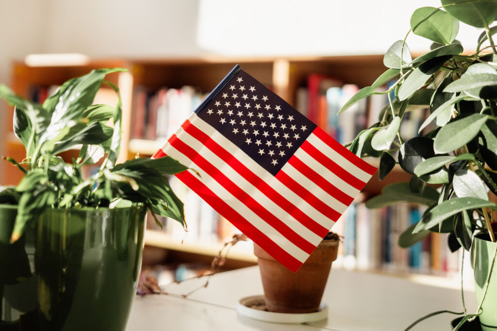 przestrzeń American Corner Wrocław. Flaga USA wbita w doniczki z zielonymi roślinami, w tle książki.