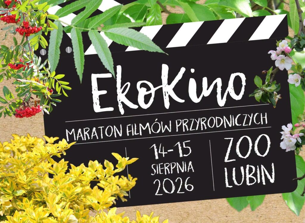 Plakat maratonu filmów przyrodniczych „EkoKino”. Na tle zielonych liści i kwiatów znajduje się grafika klapsa filmowego z nazwą wydarzenia. Na plakacie podano termin 14–15 sierpnia 2026 oraz miejsce: ZOO Lubin.
