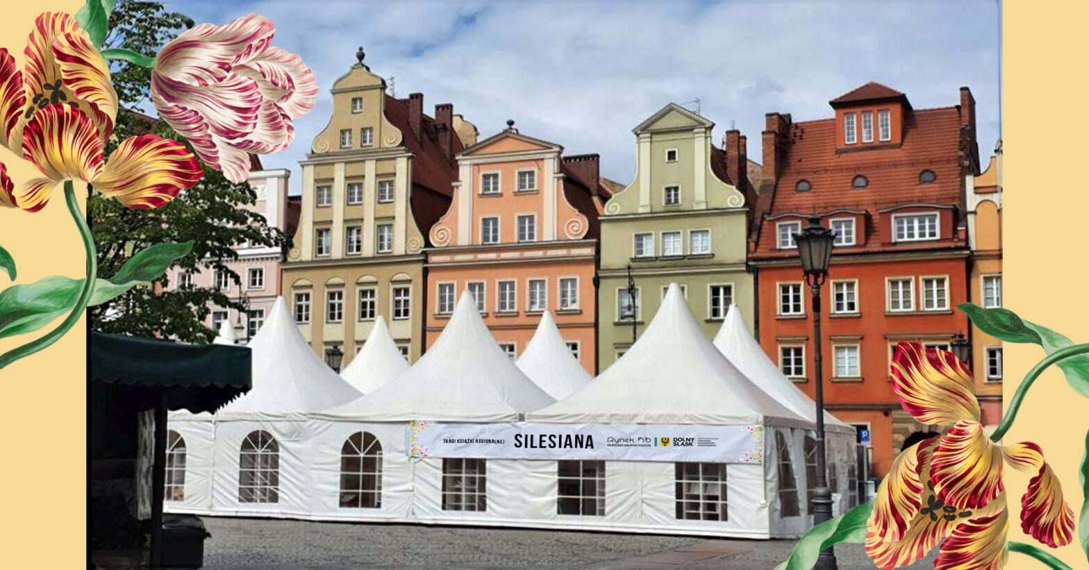 namiot na solnym i tulipan